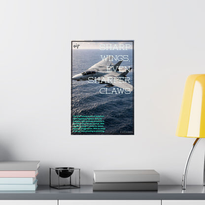 F-14 Tomcat Hype Poster