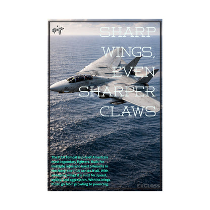 F-14 Tomcat Hype Poster