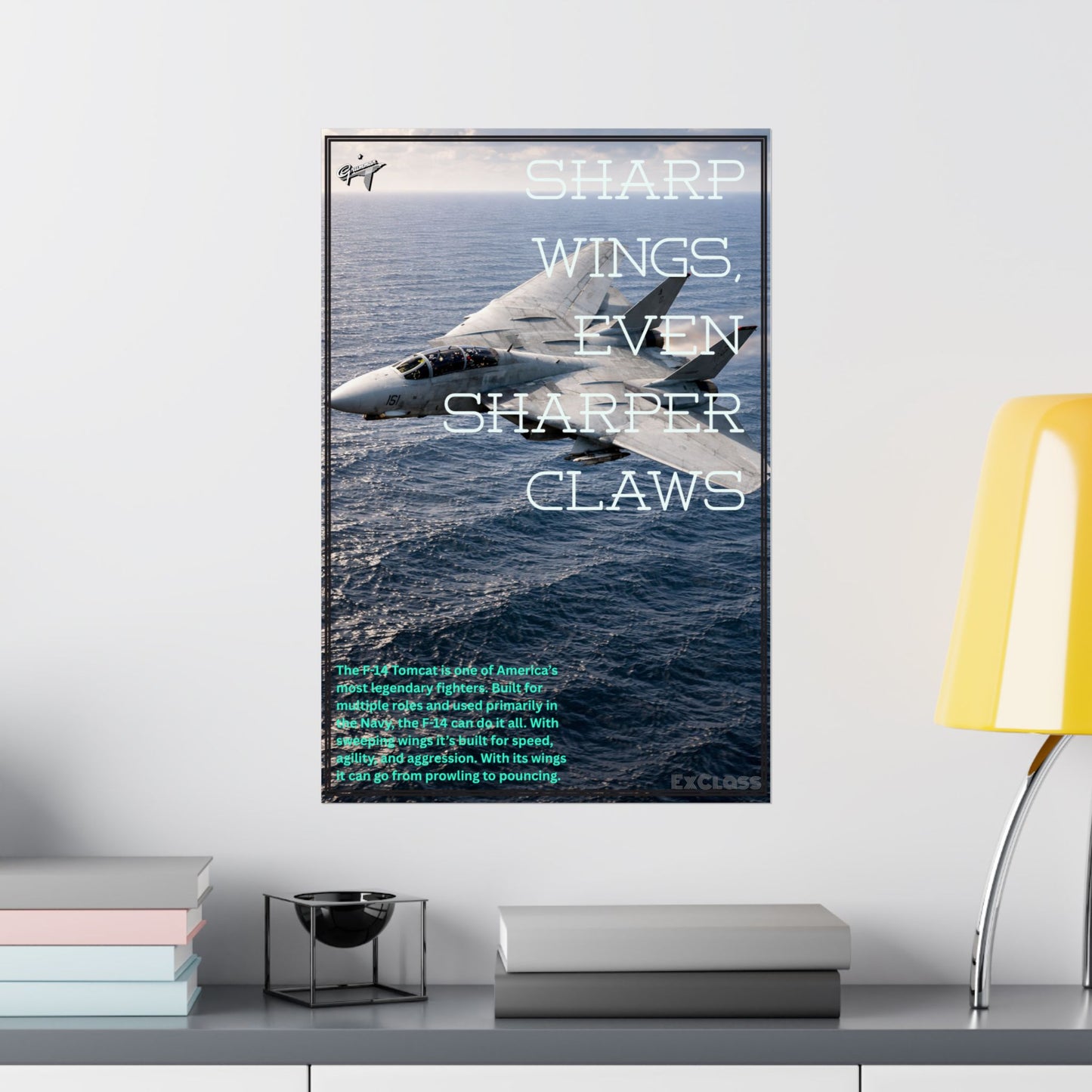 F-14 Tomcat Hype Poster
